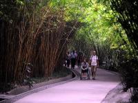 Chengdu Research Base of Giant Panda Breeding