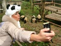 Chengdu Research Base of Giant Panda Breeding