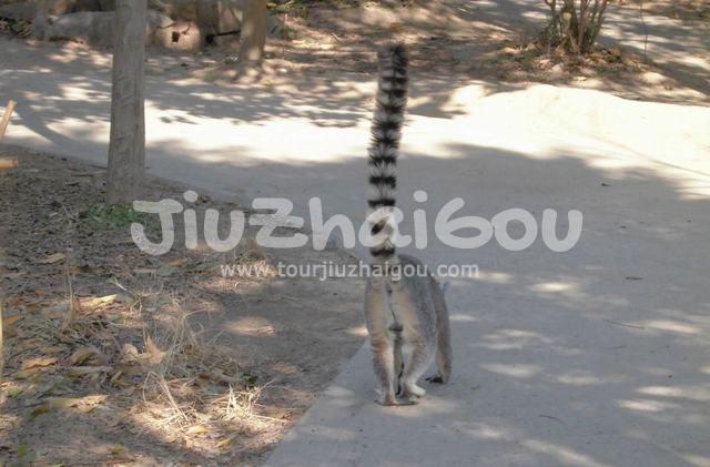 Chengdu Zoo