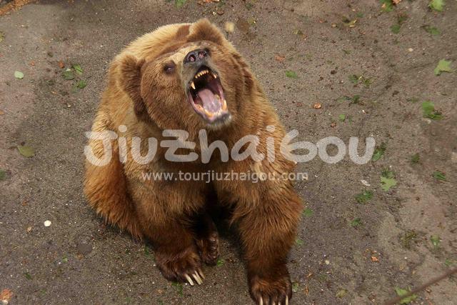 Chengdu Zoo