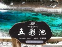 Jiuzhaigou Five-Color Pool 