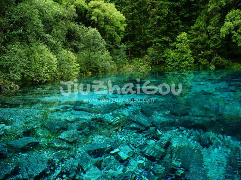 Jiuzhaigou Five-Color Pool in Rain Season