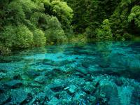 Jiuzhaigou Five-Color Pool in Rain Season