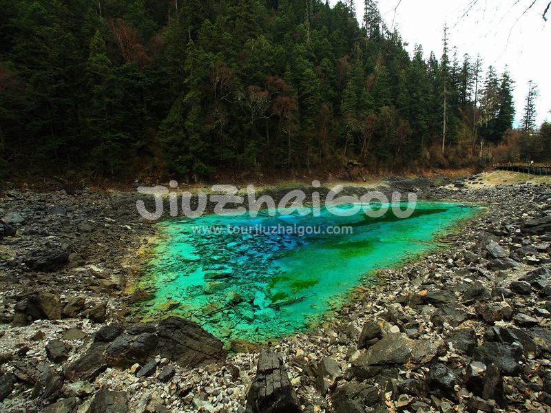 Colorful Pool Jiuzhaigou Valley