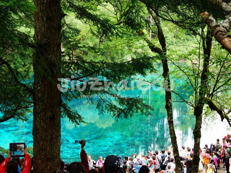 Five-Color Pool Jiuzhaigou