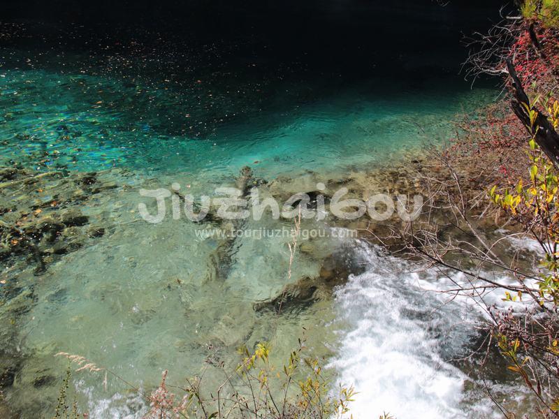 Double Dragon Lake Jiuzhaigou