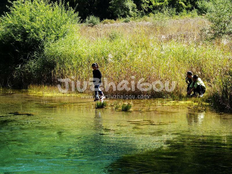 Double Dragon Lake