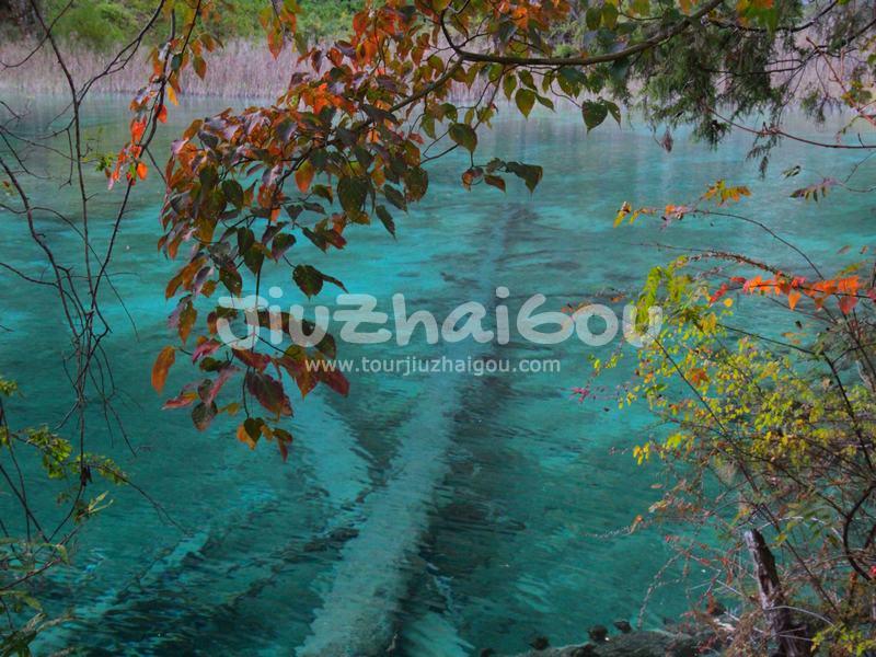 Double Dragon Lake in Jiuzhaigou Valley