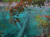 Double Dragon Lake in Jiuzhaigou Valley