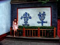 Du Fu Thatched Cottage