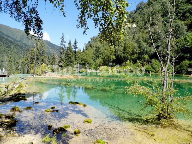 Fairy Pool Scenic Area