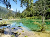 Fairy Pool Scenic Area