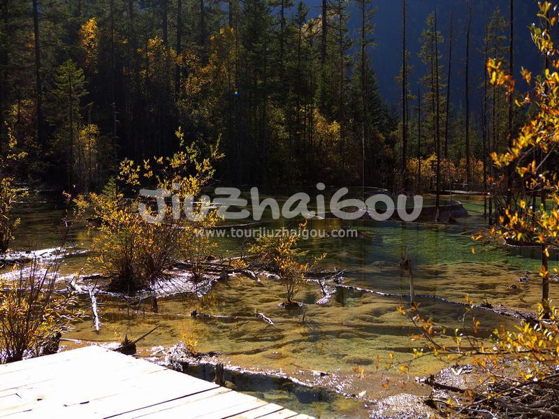 Fairy Pool Scenic Area