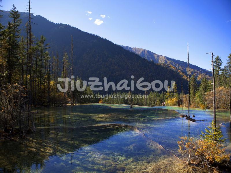Fairy Pool Scenic Area