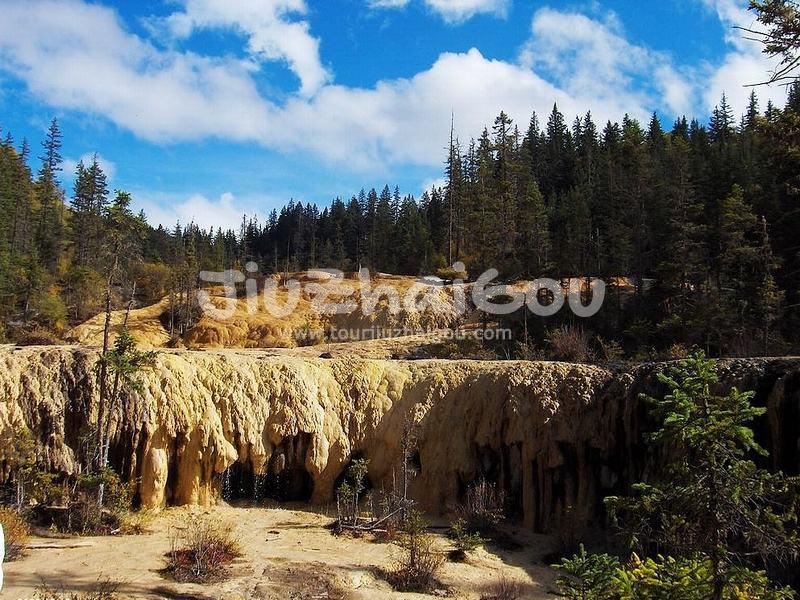 Curtain Cascades Under the Gold & Silver Shoal