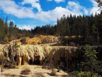 Curtain Cascades Under the Gold & Silver Shoal