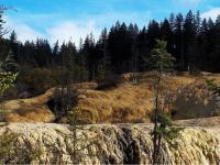 The Gold & Silver Shoal in Fairy Pool Scenic Area