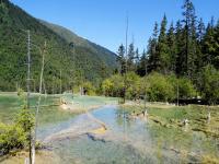 Fairy Pool Scenic Area