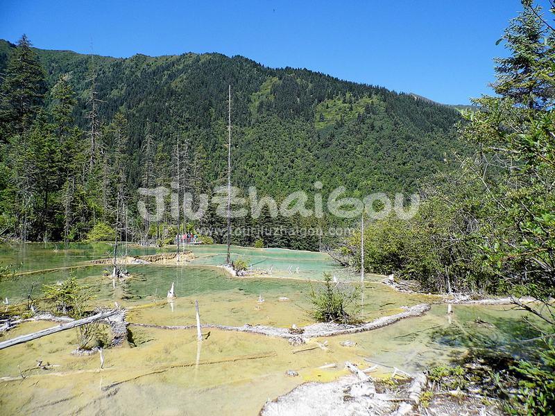 Fairy Pool Scenic Area