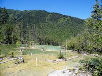 Fairy Pool Scenic Area