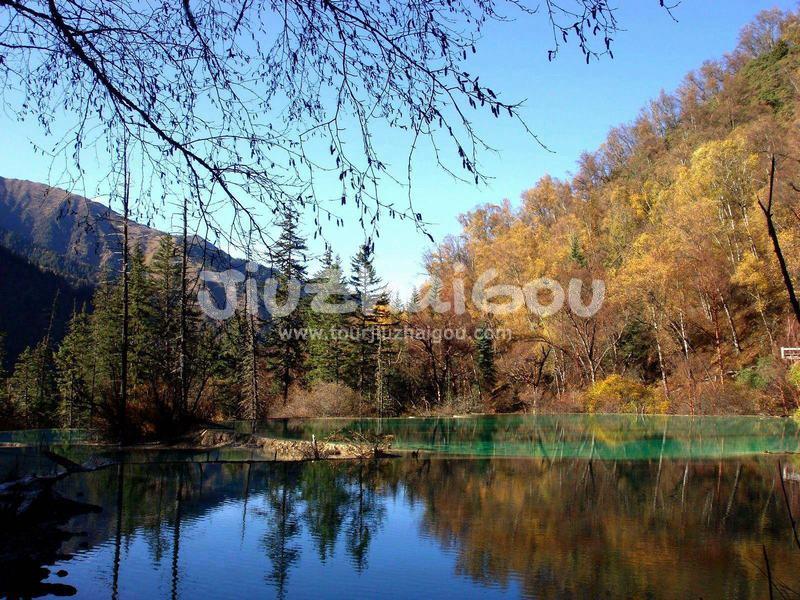 Magic Frog Lake 