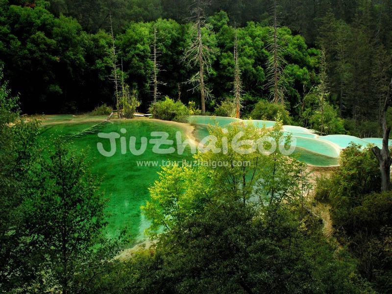 Fairy Pool Scenic Area, Jiuzhaigou, China