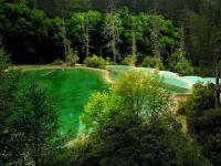 Fairy Pool Scenic Area, Jiuzhaigou, China