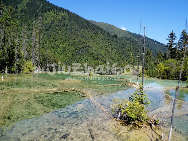 Fairy Pool Scenic Area