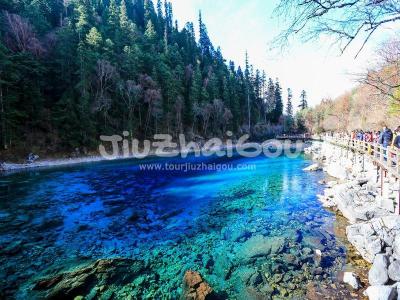 Jiuzhaigou Valley Five-Color Pool