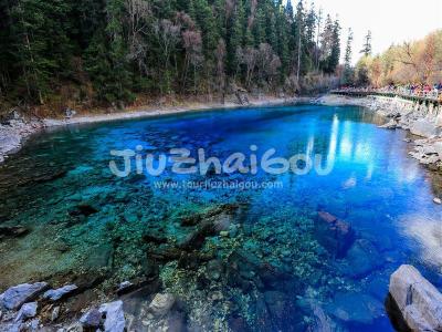 Multicolored Pool Jiuzhaigou