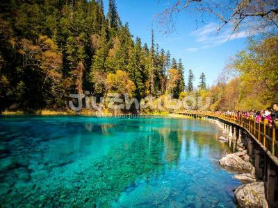 Colorful Pool Jiuzhaigou 