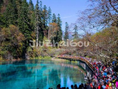 Five-Color Pool Jiuzhaigou National Park