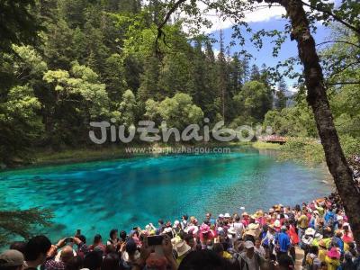 The Colorful Pool in Jiuzhaigou National Park