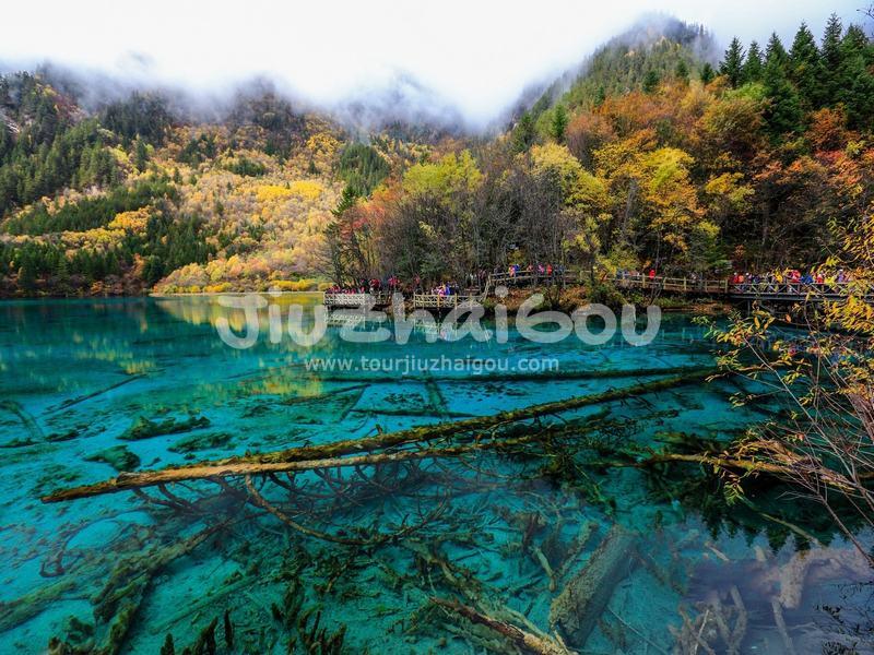  Five-Flower Lake 