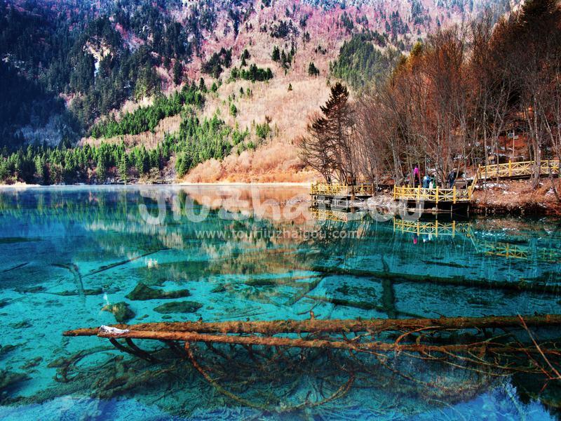  Five-flower Lake Jiuzhaigou