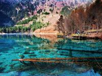  Five-flower Lake Jiuzhaigou