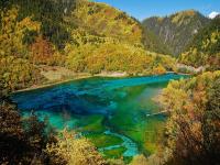  Five-flower Lake Jiuzhaigou