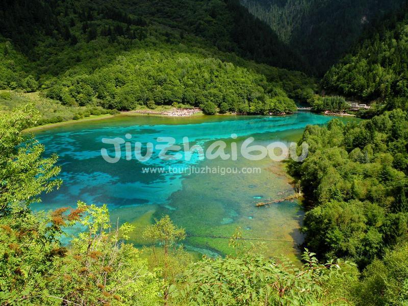  Five-Flower Lake in Jiuzhaigou
