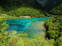  Five-Flower Lake in Jiuzhaigou