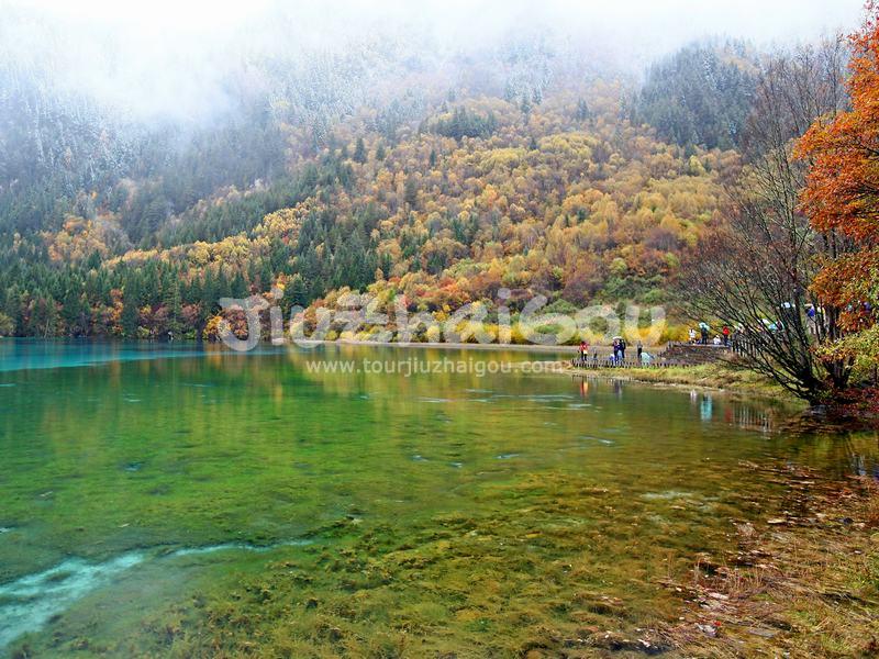  Five-flower Lake 