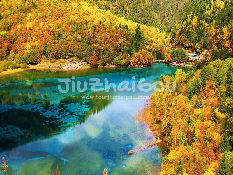 Five Flower Lake in Jiuzhaigou