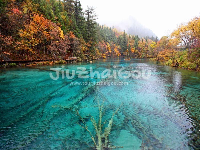  Five-flower Lake 