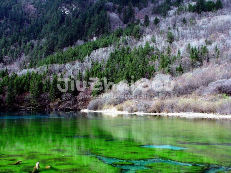  Five-flower Lake 