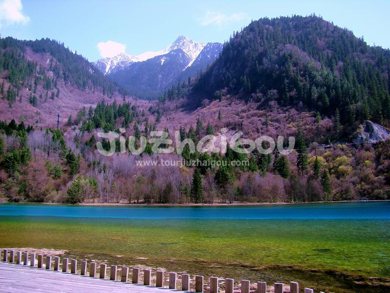  Five-flower Lake 