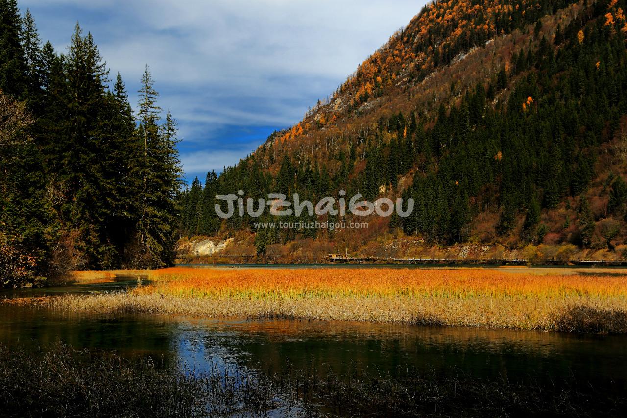 Grass Lake