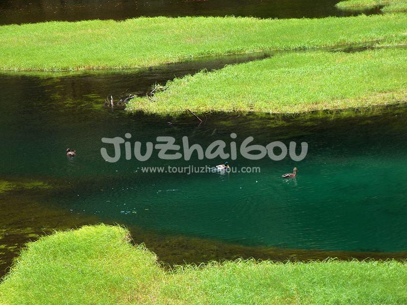 Grass Lake