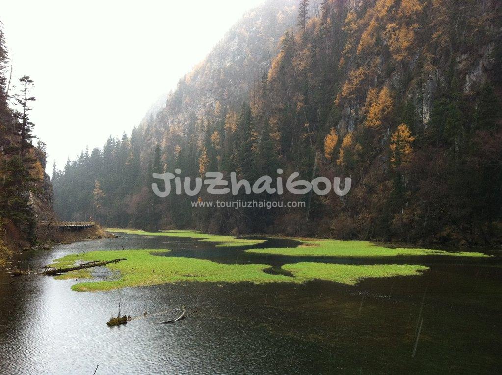 Grass Lake