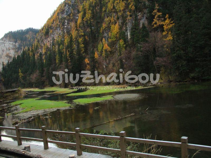 Grass Lake Jiuzhaigou National Park