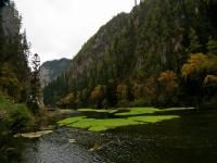 Jiuzhaigou Grass Lake