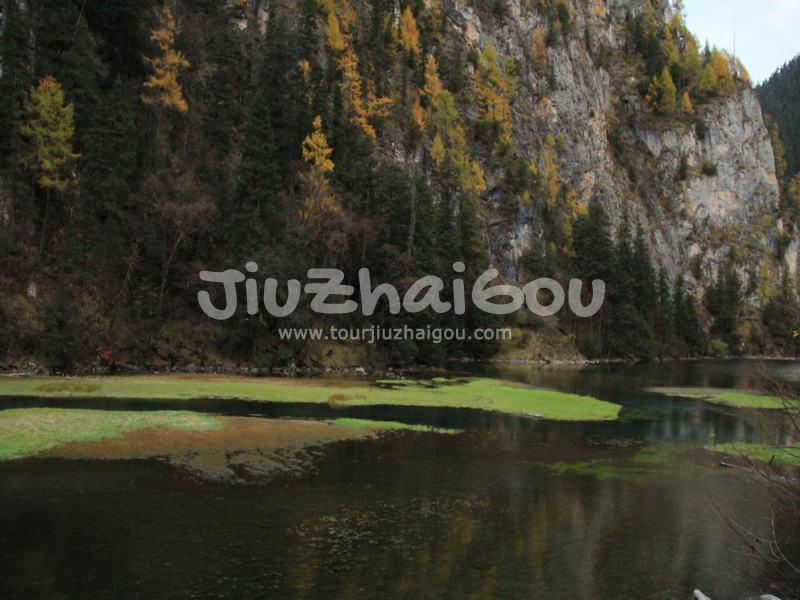 Grass Lake in Jiuzhaigou 